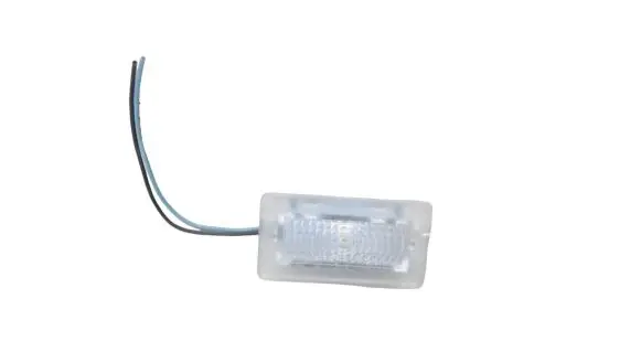 Tesla Model 3 Front seat light 100715170E