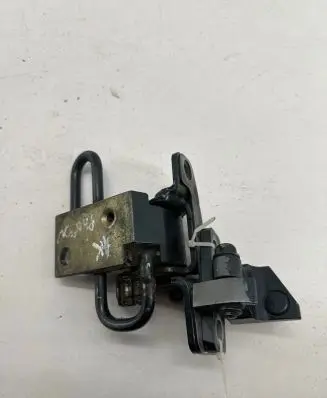 Volkswagen Phaeton Rear door hinge set 