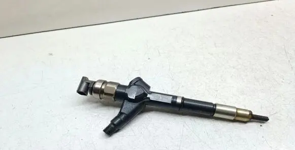 Nissan Pathfinder R51 Fuel injector 16600EC00A 03001C19 171B110C