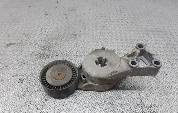 Volkswagen Polo III 6N 6N2 6NF Generator/alternator belt tensioner 950414