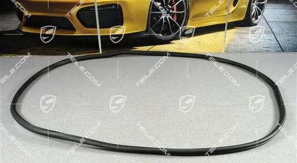 Porsche Cayenne (92A) Rubber seal front coupe door 95853736502