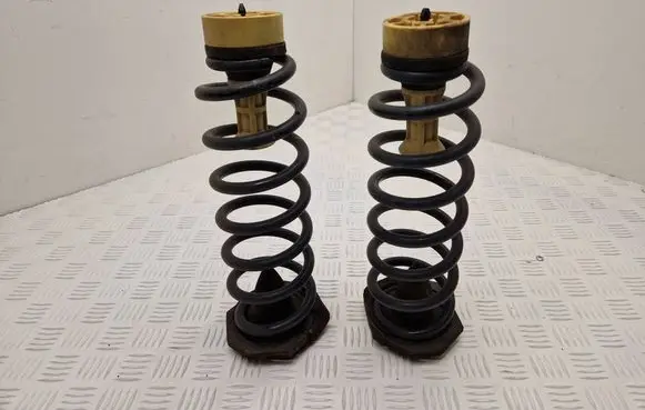 Renault Scenic IV - Grand scenic IV Rear coil spring 