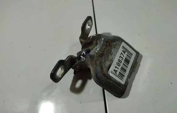 Dacia Logan I Rear door lower hinge