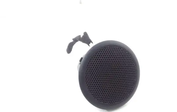 Panel speaker