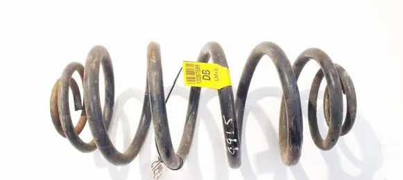 Rear coil spring
