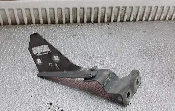 Renault Megane II Engine bonnet/hood hinges