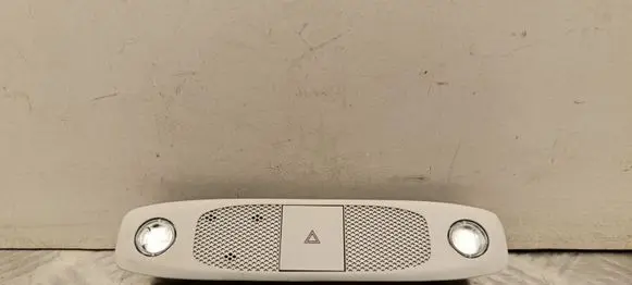 Tesla Model 3 Front seat light P109257300L