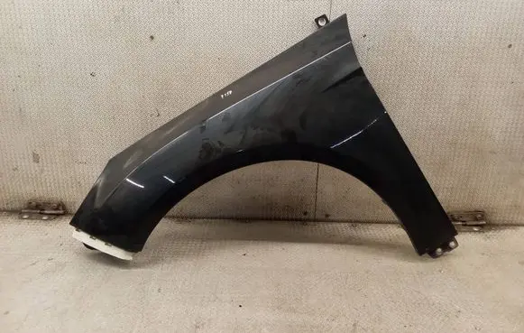 Ford Focus Fender