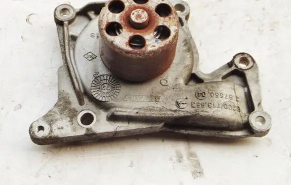Renault Megane III Water pump 8200713853