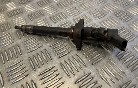 Citroen C4 I Fuel injector 22007606680 0445110239