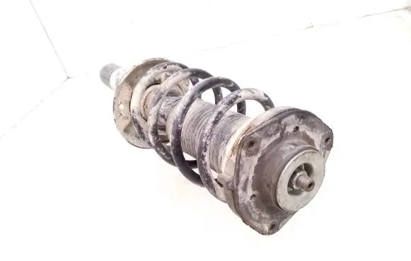 Volkswagen PASSAT B6 Front shock absorber with coil spring 