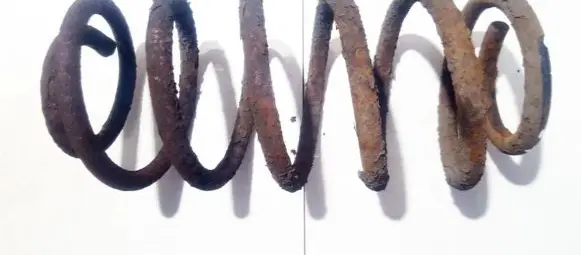 KIA Sorento Rear coil spring