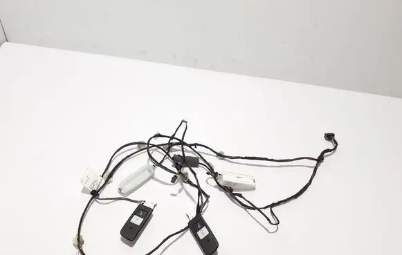Porsche Panamera (971) Other wiring loom 971971247