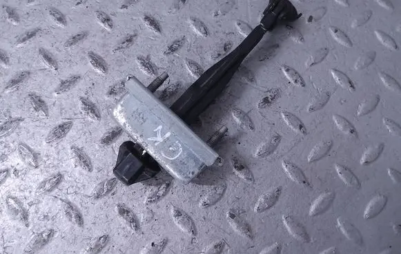 Chevrolet Volt I Rear door check strap stopper 20985217