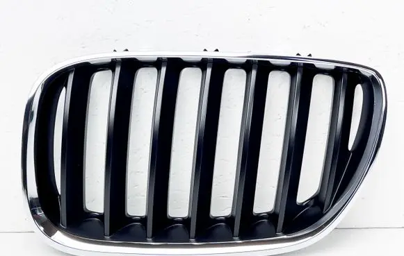 BMW X5 E53 Front bumper upper radiator grill 51137113733