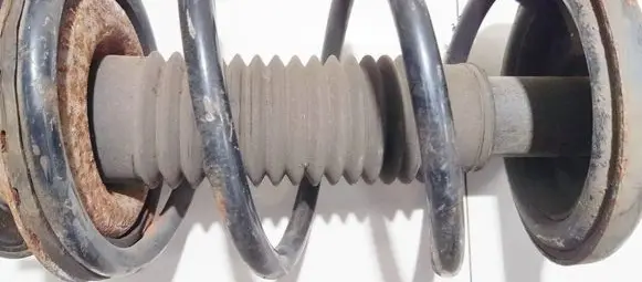 Suzuki Liana Front coil spring