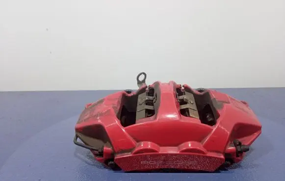 Porsche Panamera (970) Rear brake caliper 971615404j