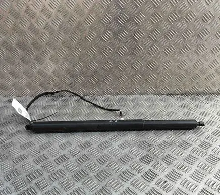 Jeep Avenger Tailgate/trunk strut/damper 52233109
