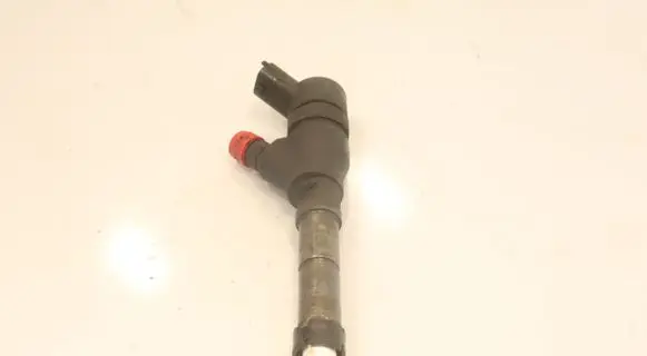 Fiat Ducato Fuel injector 0445110044