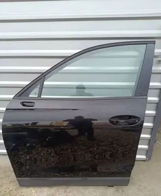 Volkswagen Tiguan Front door LY9T