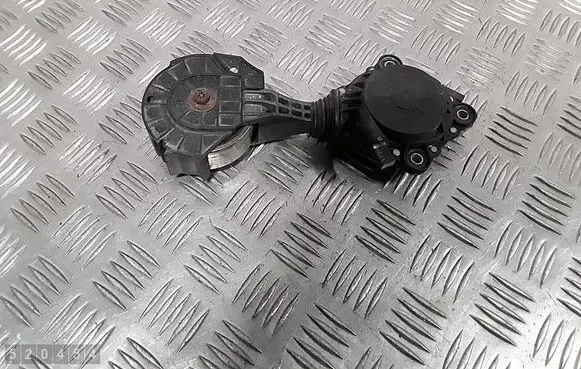 Citroen C4 II Generator/alternator belt tensioner V759883280