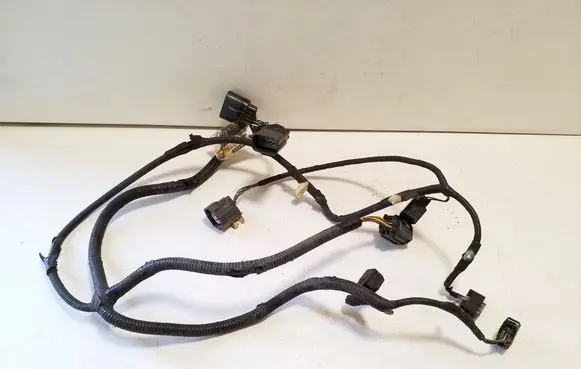Other wiring loom