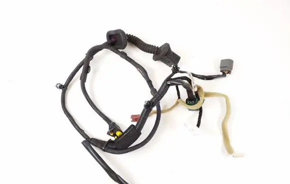 Rear door wiring loom