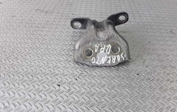 KIA Sorento Front door lower hinge 