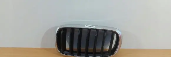 BMW X5 F15 Front bumper upper radiator grill 7316057