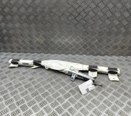 Tesla Model X Roof airbag 103676000H