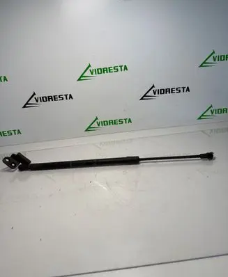 Tailgate/trunk strut/damper