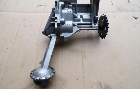 Renault Kangoo II Oil pump 8200307174