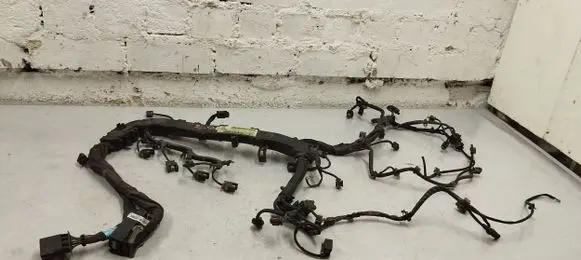 Engine installation wiring loom