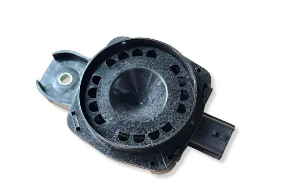 Renault Zoe Alarm system siren 256400001R