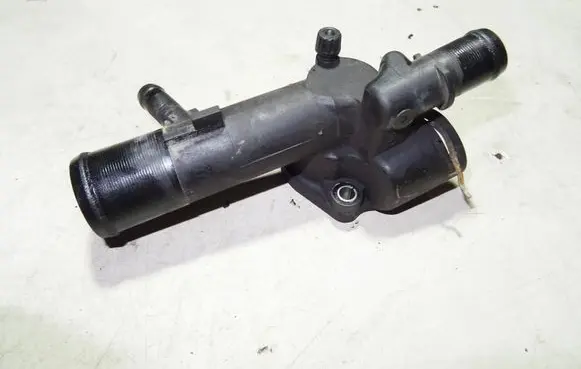 Thermostat/thermostat housing