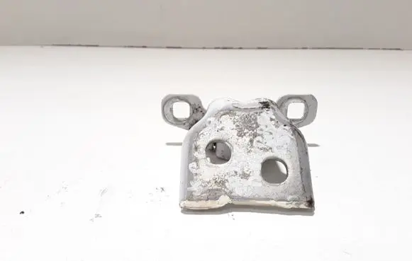 Dacia Sandero Rear door lower hinge