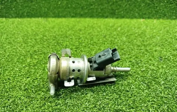 Citroen C4 Cactus Fuel injector 9813930180