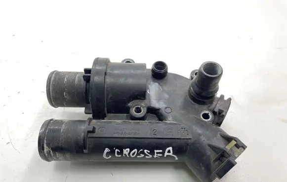 Thermostat/thermostat housing
