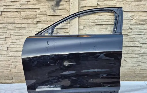 Ford Mustang Mach-E Front door 