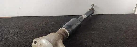 Rear shock absorber/damper