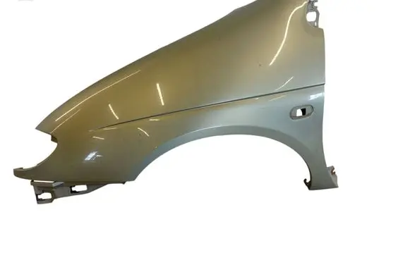 Renault Scenic I Fender