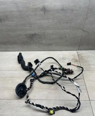Volkswagen PASSAT B8 Front door wiring loom 3G1971121H
