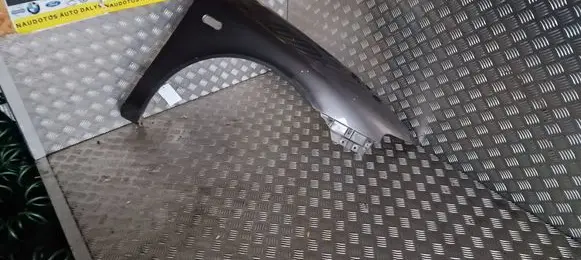 Seat Toledo II (1M) Fender