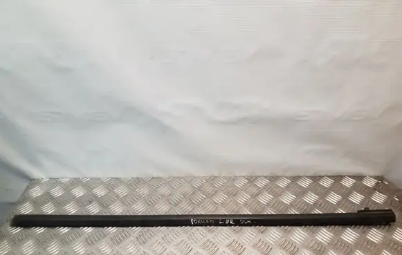 Ford Focus Front door glass trim molding 4M51A20563
