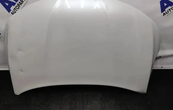 Engine bonnet/hood