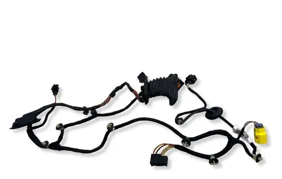 Volkswagen PASSAT B6 Front door wiring loom 3C1971121CJ