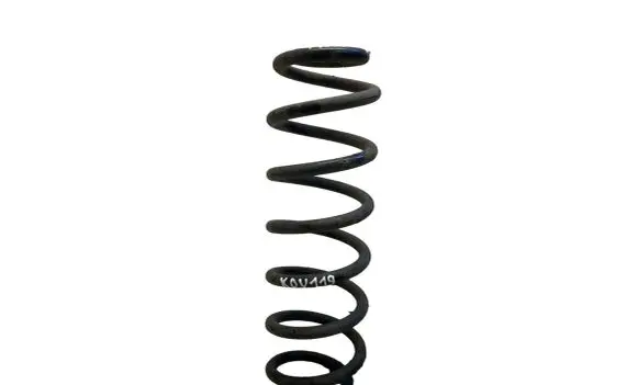 Volkswagen PASSAT B8 Rear coil spring