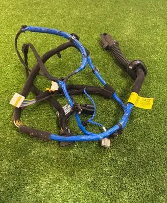 Hyundai Ioniq 5 Rear door wiring loom 91630 GT220AI