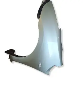 Toyota Prius (NHW20) Fender