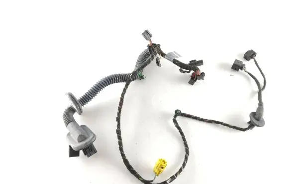 Porsche Panamera (970) Front door wiring loom 97061260800 912385102